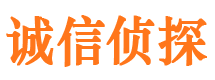 江口市侦探公司